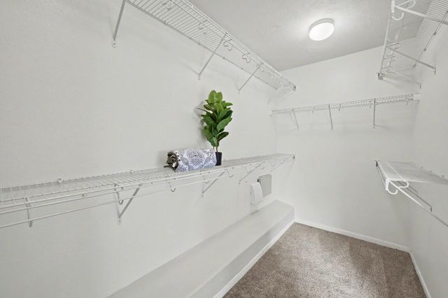 10235 Mills Run Drive, Houston, TX 77070