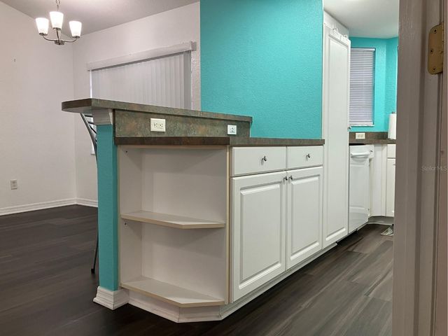 21146 FOUNTAIN VIEW LANE 4303, Lutz, FL 33558