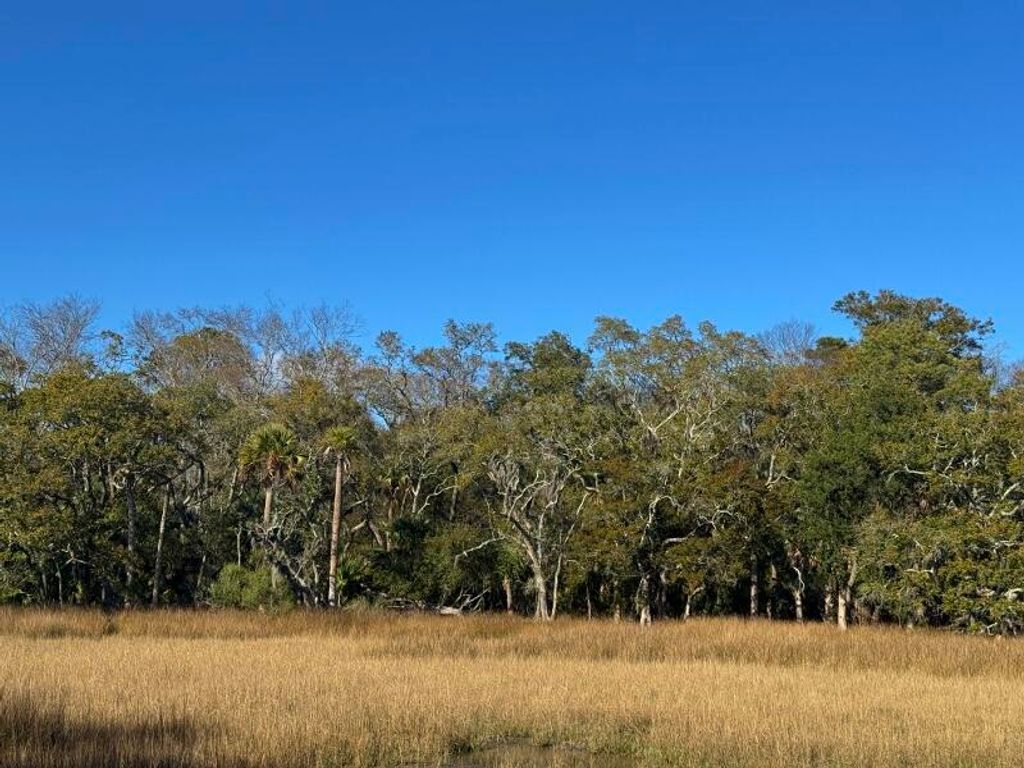 Image 1 of property listing at 8785 Palmetto Road, Edisto Island, SC 29438
