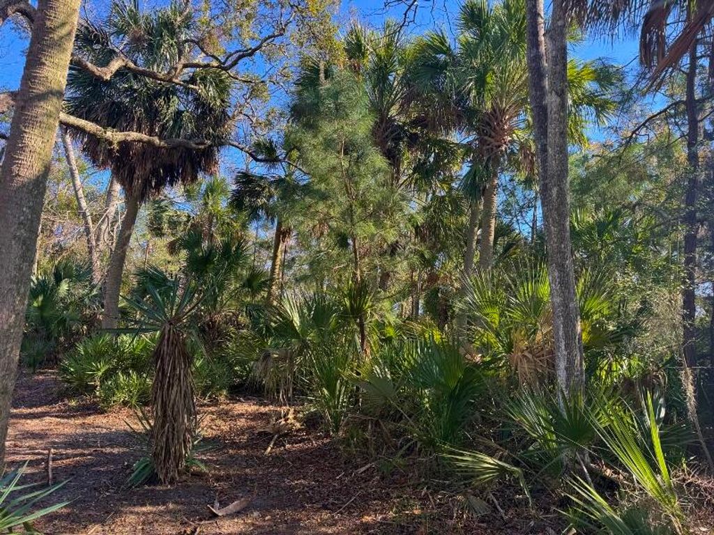 Image 2 of property listing at 8785 Palmetto Road, Edisto Island, SC 29438