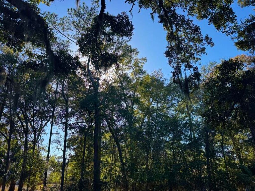 Image 4 of property listing at 8785 Palmetto Road, Edisto Island, SC 29438