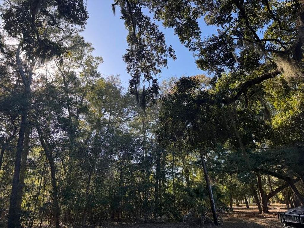 Image 5 of property listing at 8785 Palmetto Road, Edisto Island, SC 29438