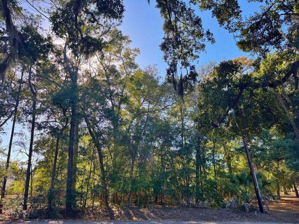 Image 7 of property listing at 8785 Palmetto Road, Edisto Island, SC 29438