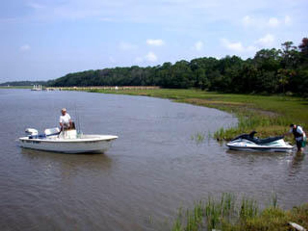 Image 9 of property listing at 8785 Palmetto Road, Edisto Island, SC 29438