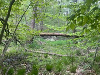 6650 103rd Avenue, South Haven, MI 49090