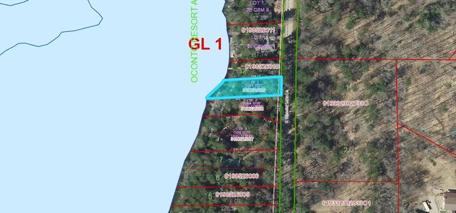 17799 E WHEELER LAKE LANE, Lakewood, WI 54138