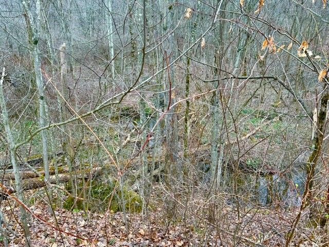 382 Hosack Rd, Jackson Twp, PA 16133