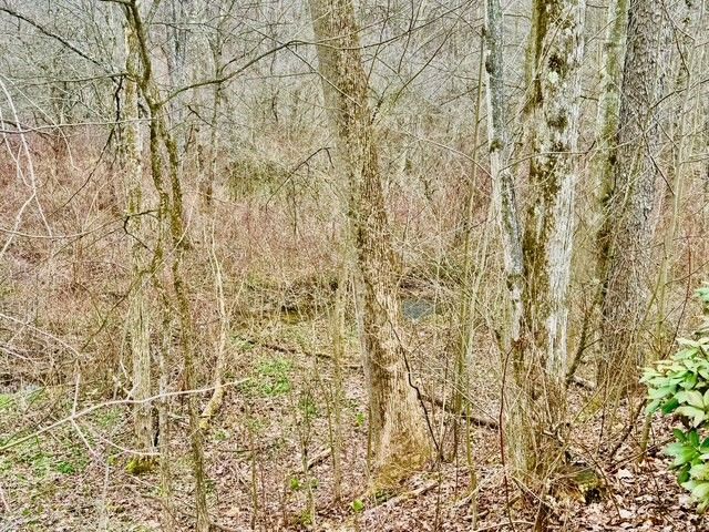 382 Hosack Rd, Jackson Twp, PA 16133