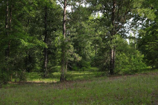 653 Ebenezer Cemetery Road, Leesville, LA 71446