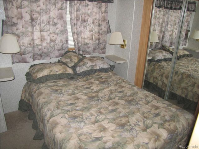 161 Tressel Trl, Hartsel, CO 80449