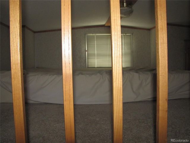 161 Tressel Trl, Hartsel, CO 80449