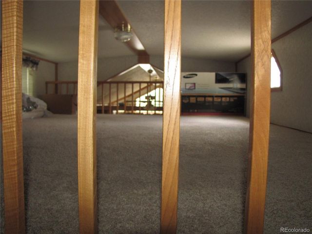 161 Tressel Trl, Hartsel, CO 80449