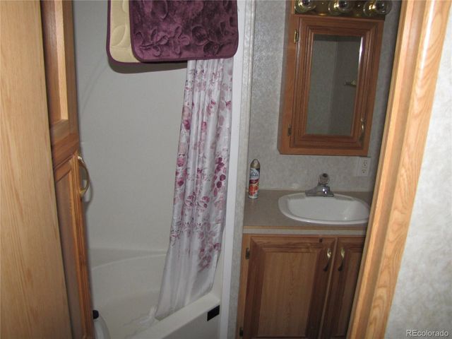 161 Tressel Trl, Hartsel, CO 80449