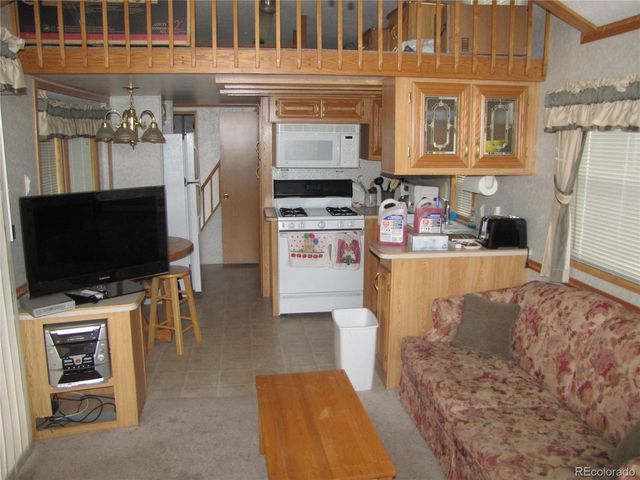 161 Tressel Trl, Hartsel, CO 80449