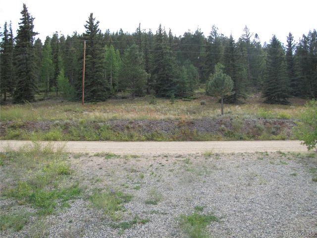 161 Tressel Trl, Hartsel, CO 80449