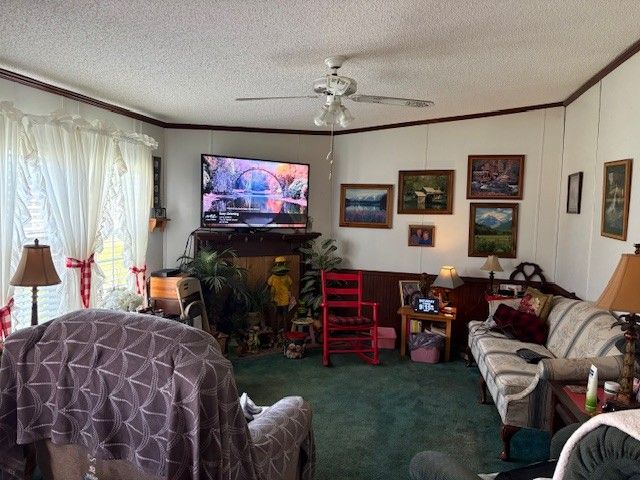 954 Old Belfast Rd, Lewisburg, TN 37091