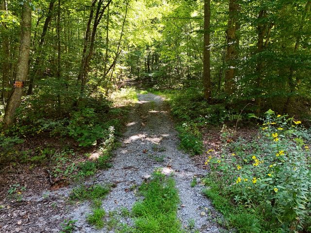 145 Ac. Bell Mountain, Hiawassee, GA 30546