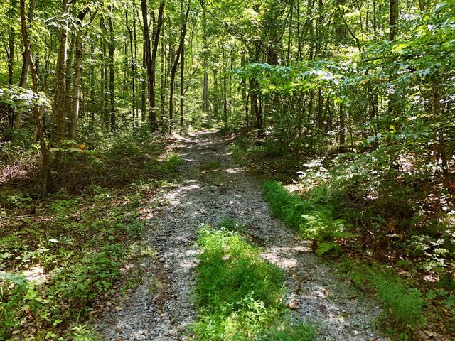 145 Ac. Bell Mountain, Hiawassee, GA 30546