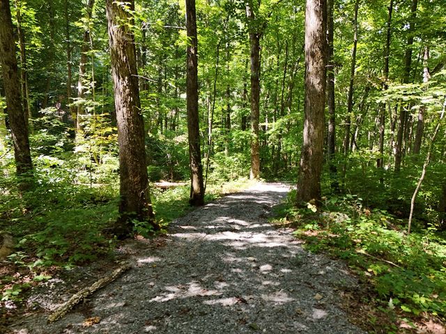 145 Ac. Bell Mountain, Hiawassee, GA 30546