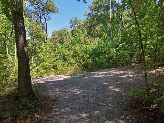145 Ac. Bell Mountain, Hiawassee, GA 30546