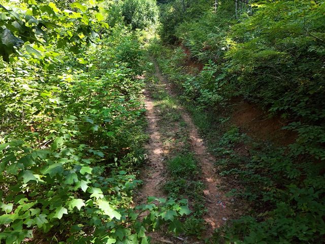 145 Ac. Bell Mountain, Hiawassee, GA 30546