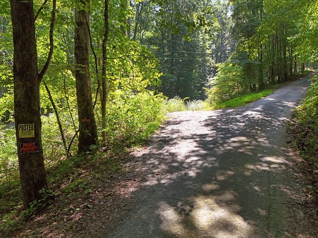 145 Ac. Bell Mountain, Hiawassee, GA 30546