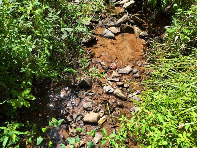145 Ac. Bell Mountain, Hiawassee, GA 30546