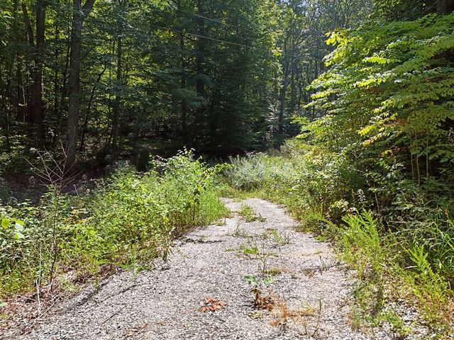 145 Ac. Bell Mountain, Hiawassee, GA 30546