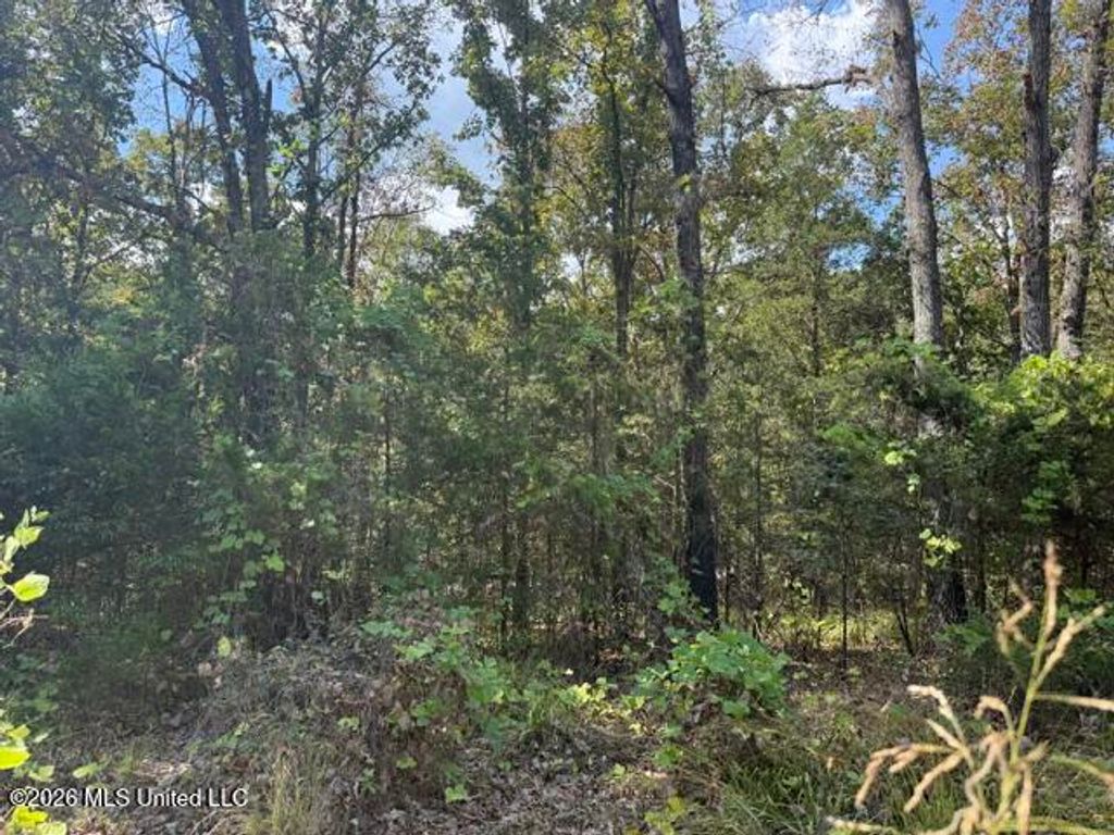 David Cove, Byhalia, MS 38611 — photo 2