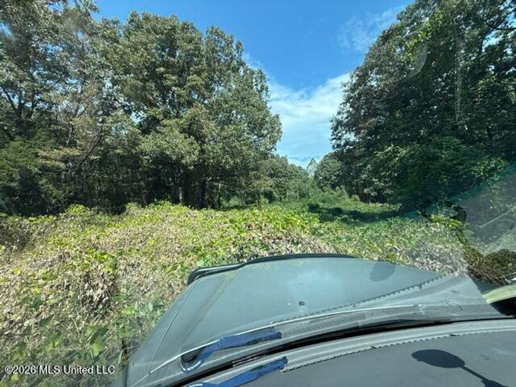 David Cove, Byhalia, MS 38611 — photo 3