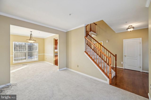 14505 PLEFFNER CT, Bowie, MD 20720