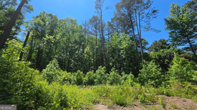6099 Old Alabama Road SW, Austell, GA 30168
