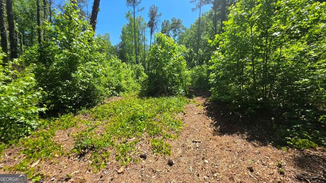 6099 Old Alabama Road SW, Austell, GA 30168