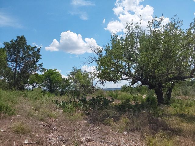 313 EAGLE BASIN CIR, Spicewood, TX 78669