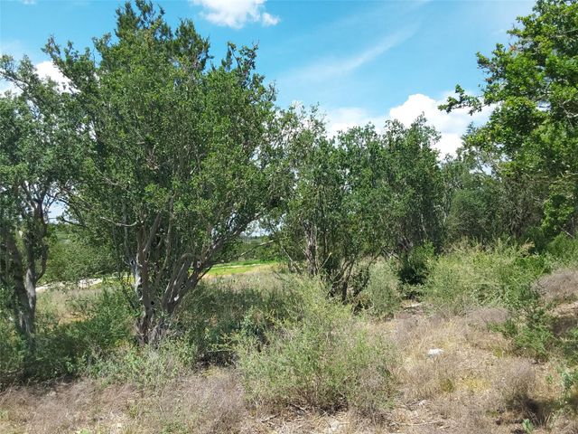 313 EAGLE BASIN CIR, Spicewood, TX 78669