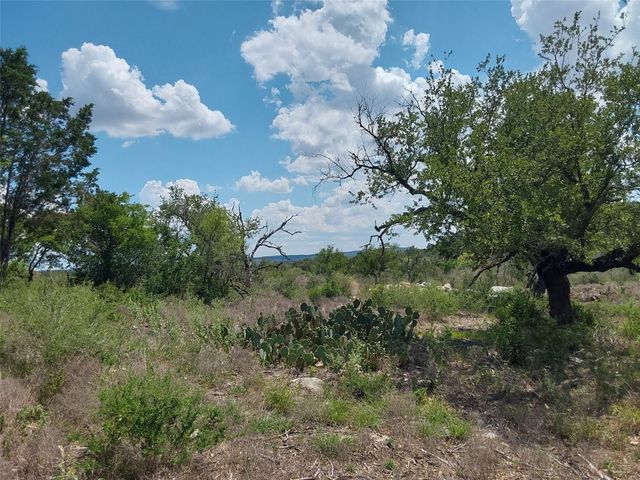 313 EAGLE BASIN CIR, Spicewood, TX 78669