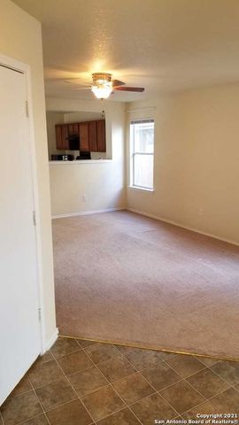 8010 Braes Run, San Antonio, TX 78254