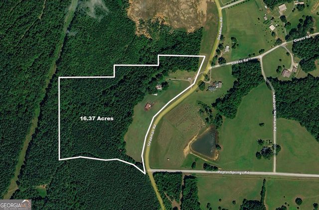 2774 Steadman Road, Tallapoosa, GA 30176
