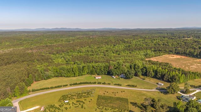 2774 Steadman Road, Tallapoosa, GA 30176