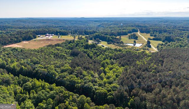 2774 Steadman Road, Tallapoosa, GA 30176