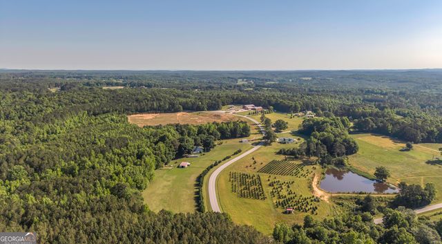 2774 Steadman Road, Tallapoosa, GA 30176