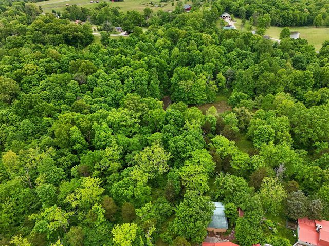 1258 Herndon Road, Lawrenceburg, KY 40342