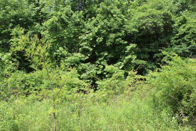 523 McDade Road, Tryon, NC 28782