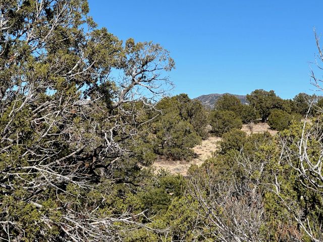 45 Stagecoach Trail, Sandia Park, NM 87047