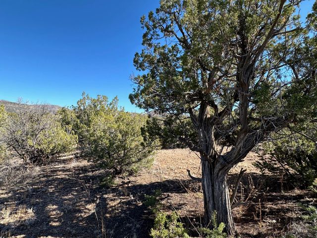 45 Stagecoach Trail, Sandia Park, NM 87047