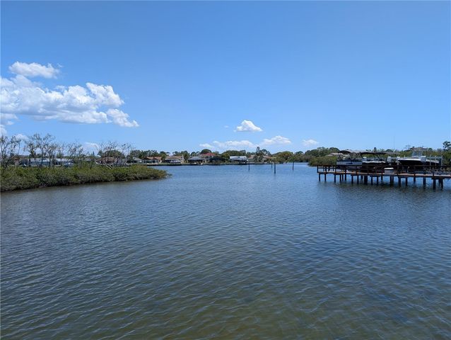 4516 SEAGULL DRIVE 919, New Port Richey, FL 34652