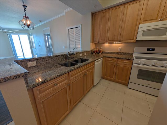 4516 SEAGULL DRIVE 919, New Port Richey, FL 34652