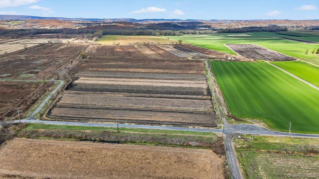 60 Bierstine Lane, Pine Island, NY 10969