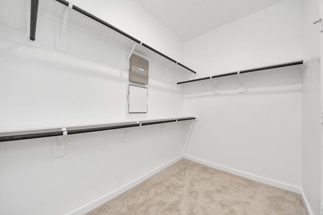 2415 Outpost Canyon Drive, Arcola, TX 77583