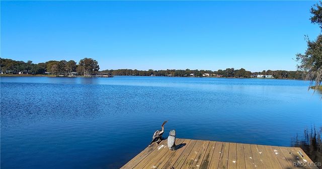 6644 S Duval Island Drive, Floral City, FL 34436